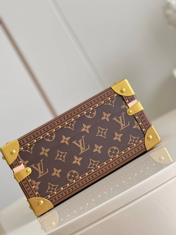 Alice Bags- Louis Vuittons  - 16223