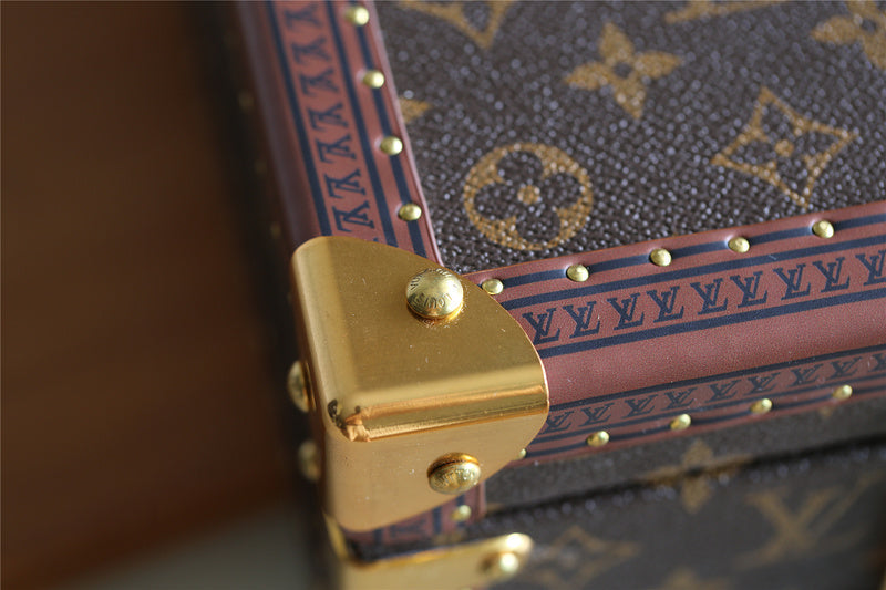 Alice bags - Louis Vuittons  - 9554