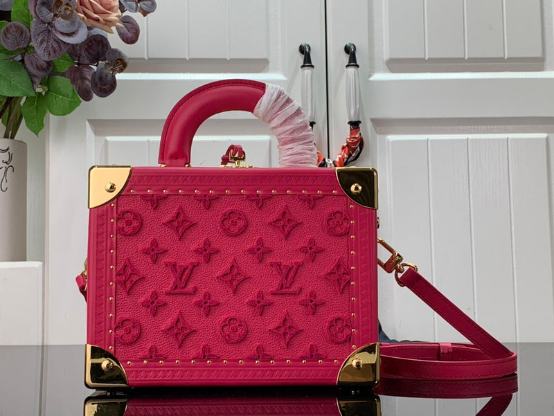 Alice Bags- Louis Vuittons  - 16572
