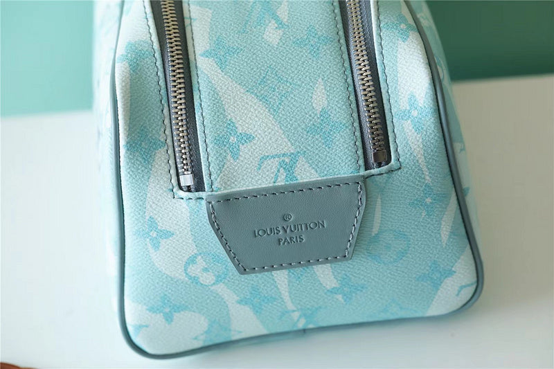 Alice bags - Louis Vuittons  - 10666
