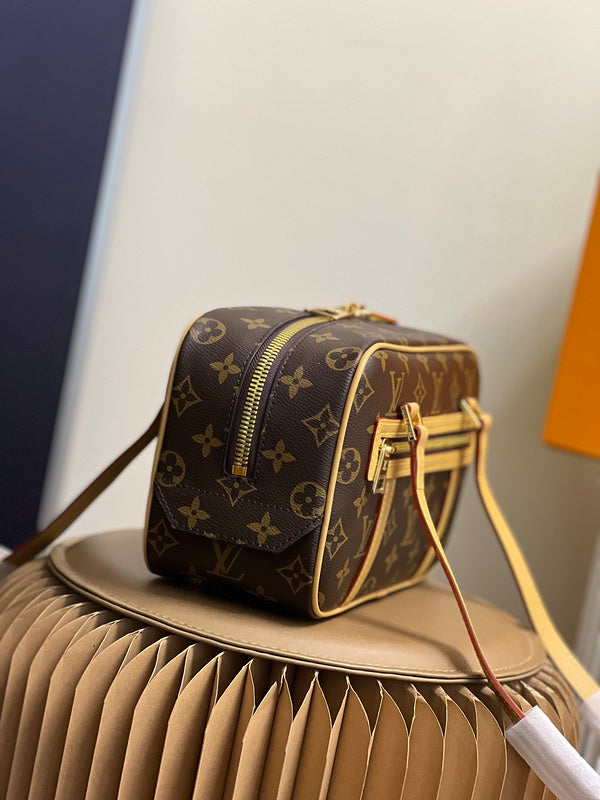 Alice Bags- Louis Vuittons  - 16143