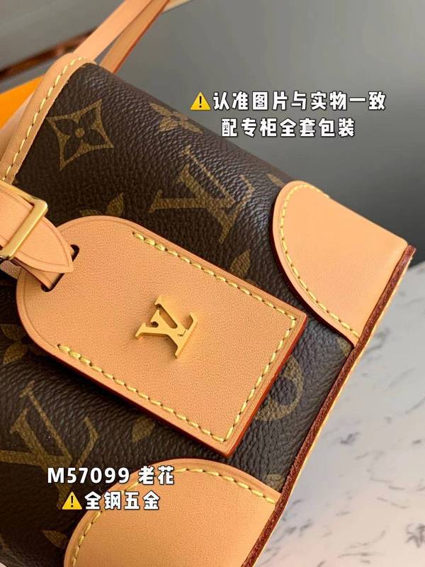 Alice Bags- Louis Vuittons  - 15956