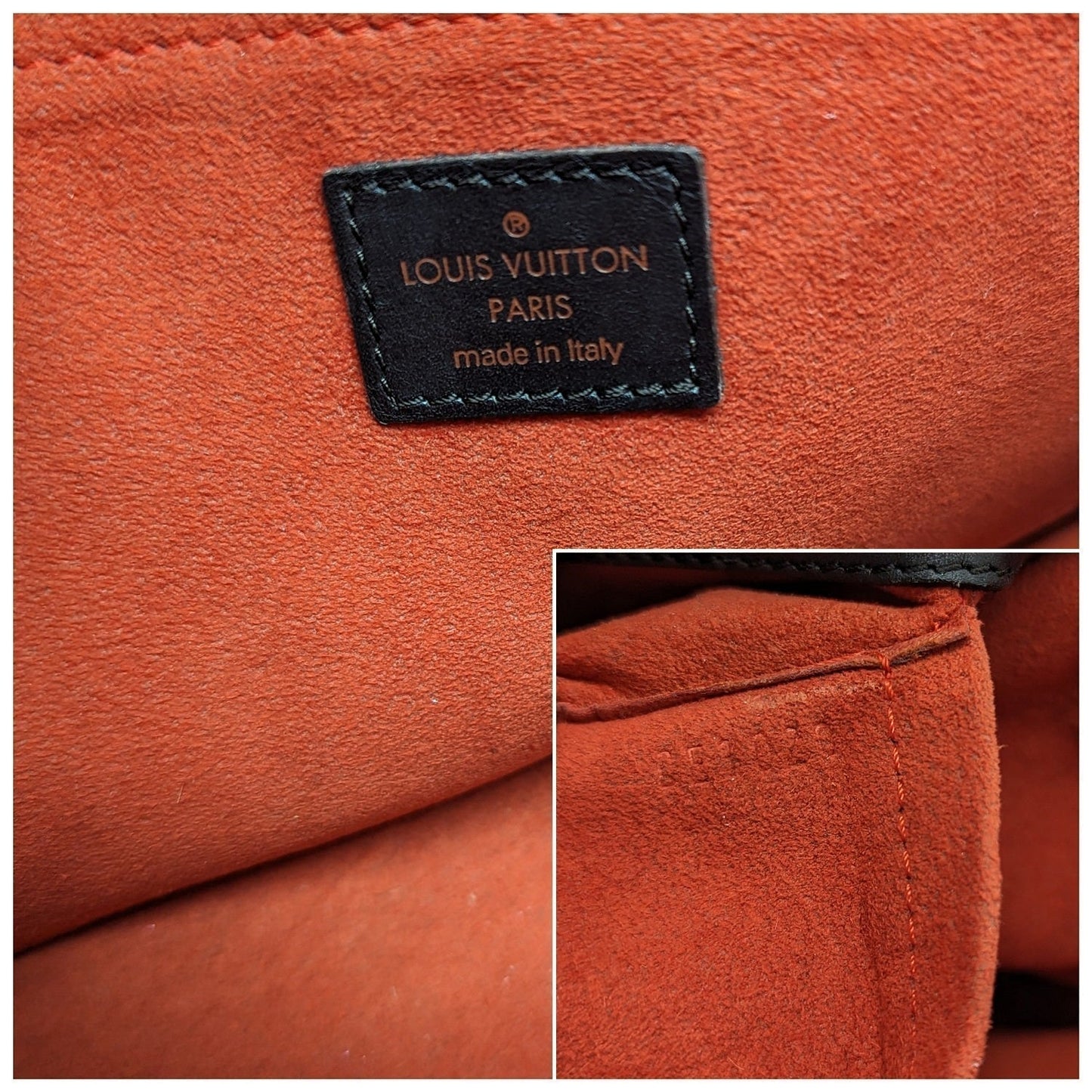 Louis Vuitton Damier Sauvage Lionne Handbag