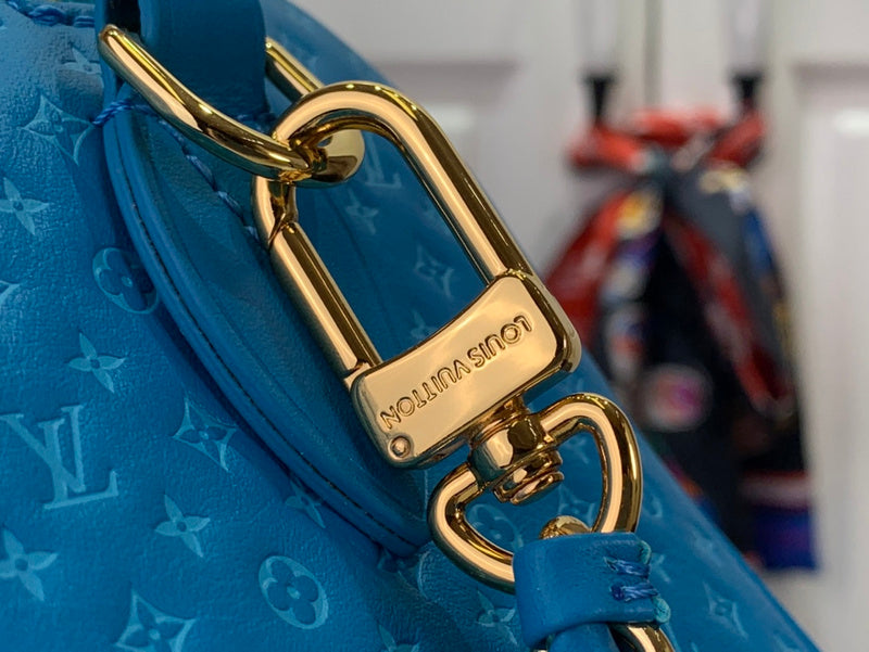 Alice bags - Louis Vuittons  - 15634