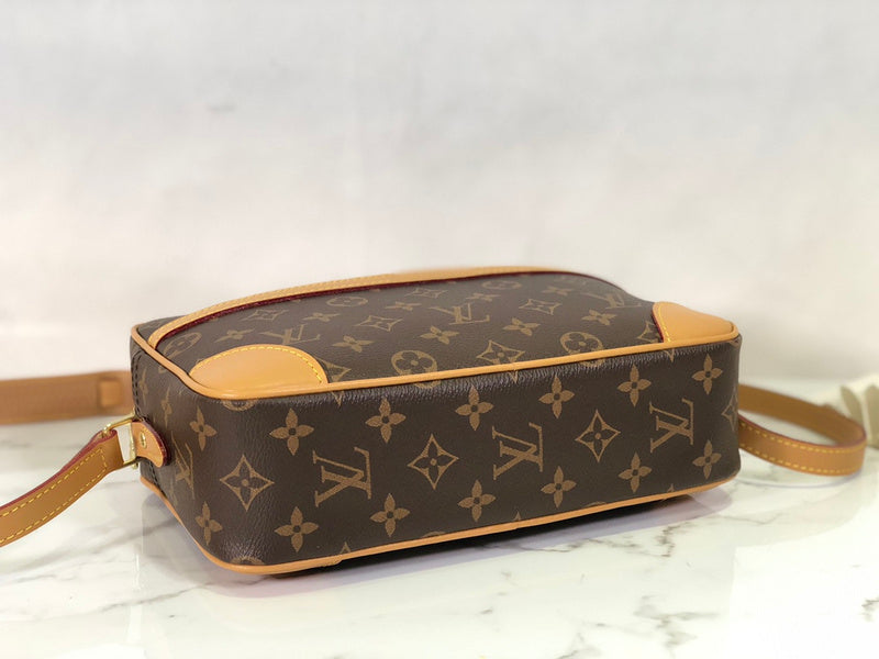 Alice Bags- Louis Vuittons  - 16034