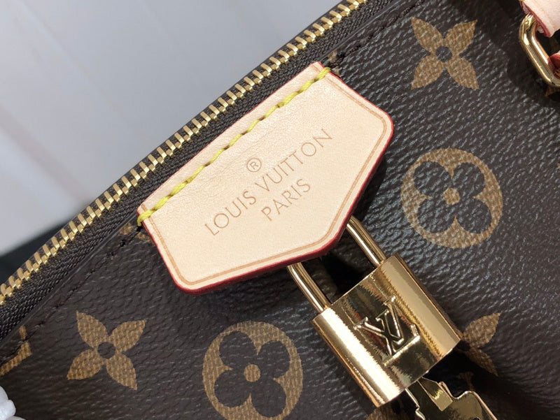 Alice Bags- Louis Vuittons  - 15927
