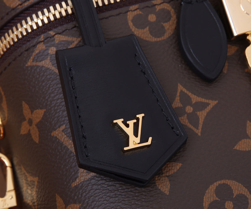 Alice bags- Louis Vuittons  - 16806