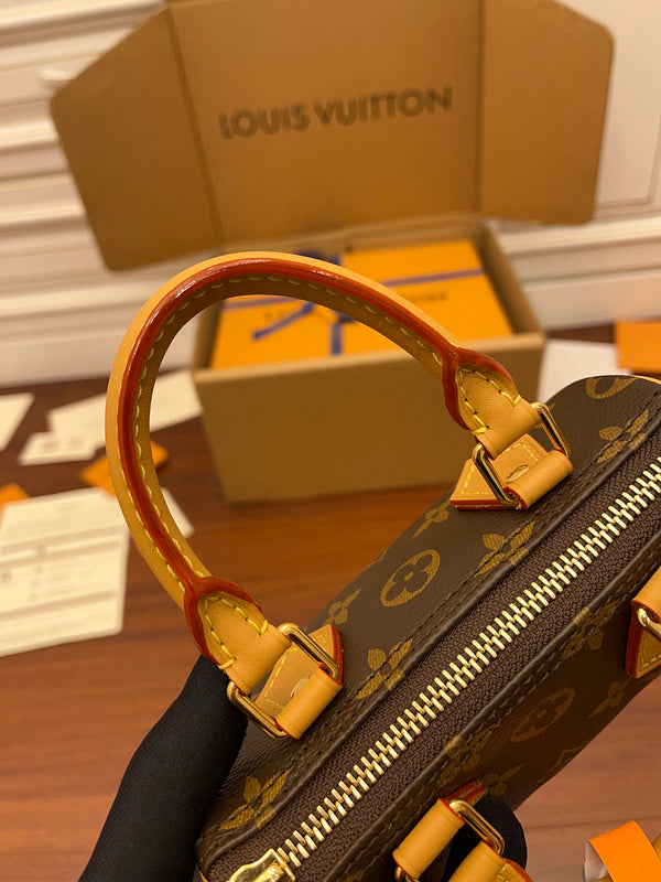 Alice Bags- Louis Vuittons  - 16198