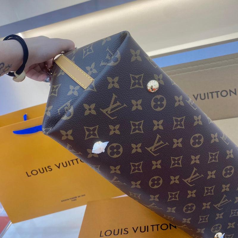Alice bags - Louis Vuittons  - 15070