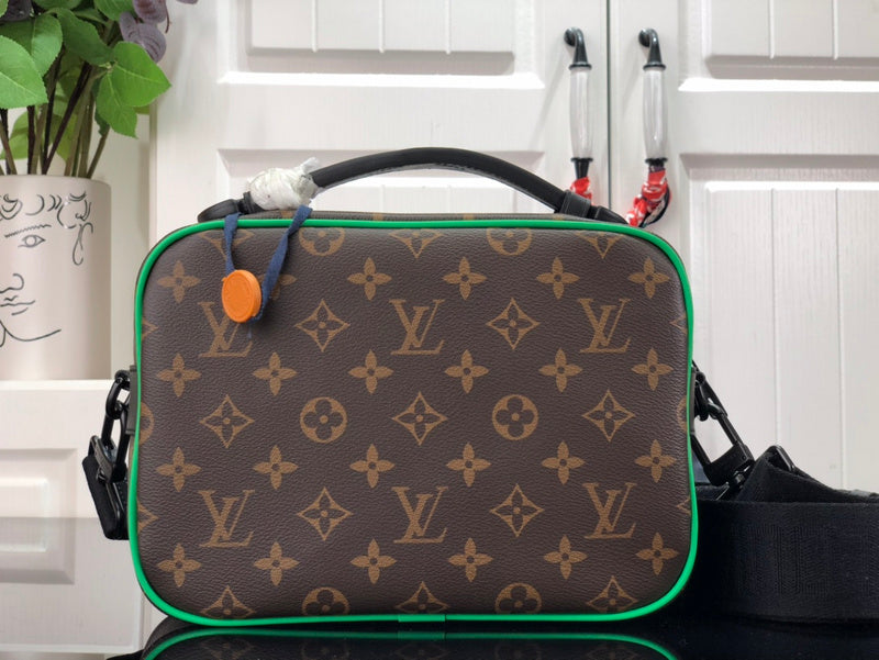 Alice Bags- Louis Vuittons  - 16508