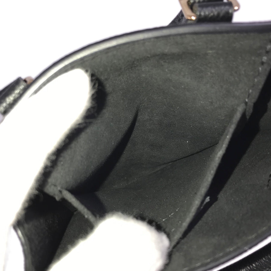 LOUIS VUITTON 2WAYShoulder mini back IC chip Women's handbag