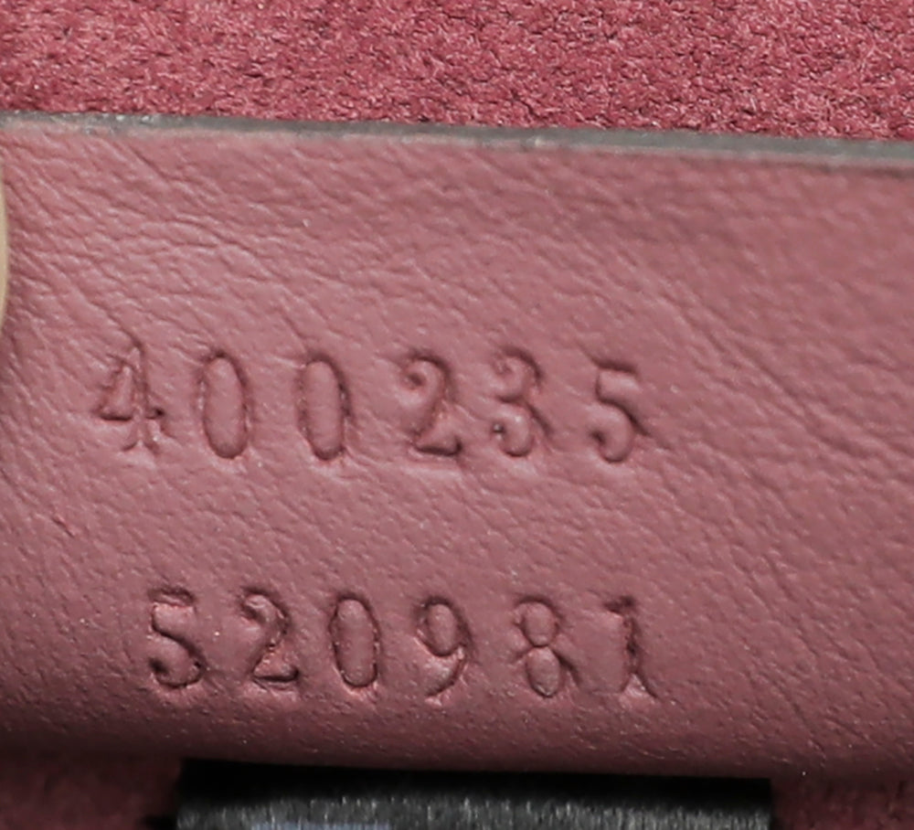 Gucci Bicolor Dionysus Blooms Medium Bag