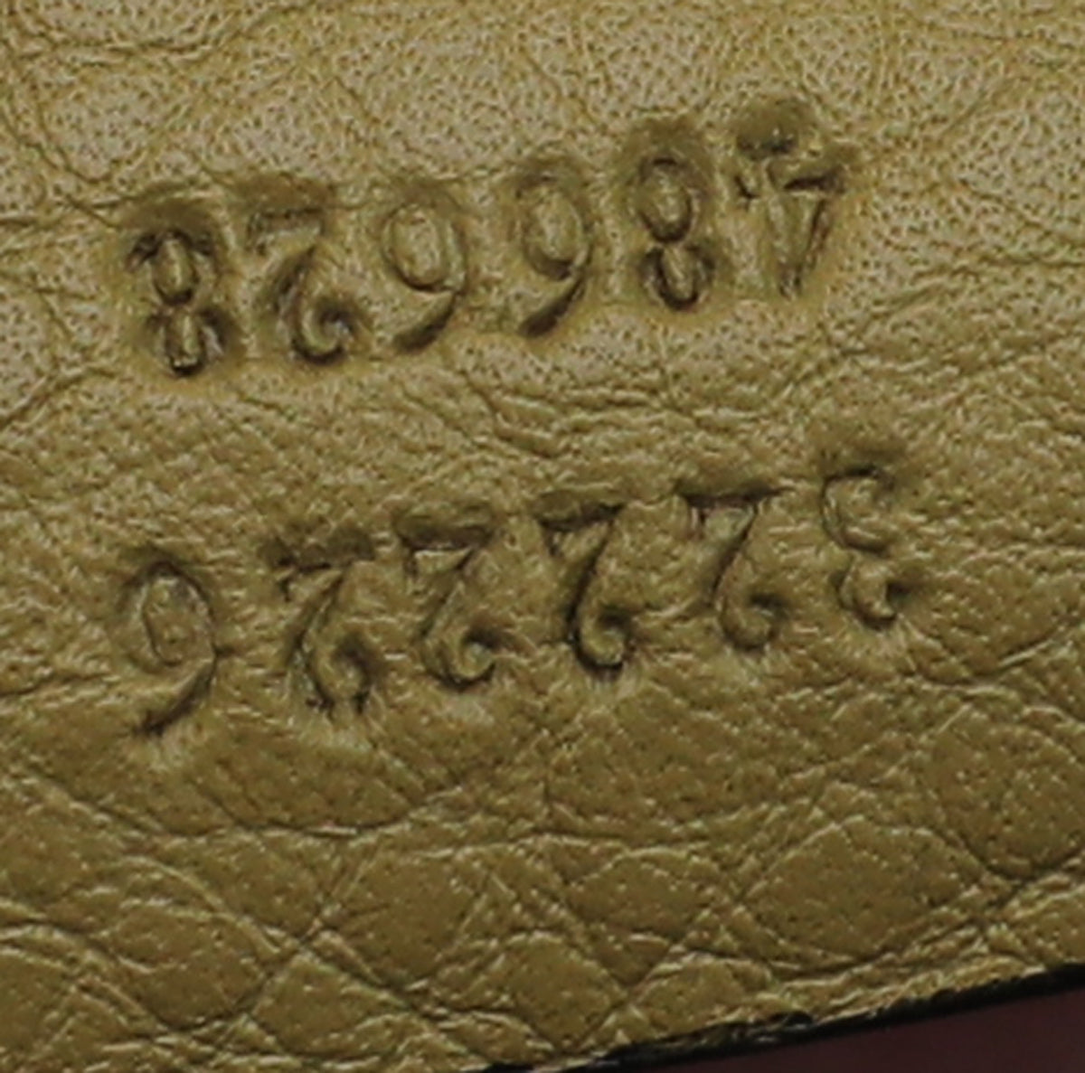 Gucci Pale Olive Emily Hobo Bag