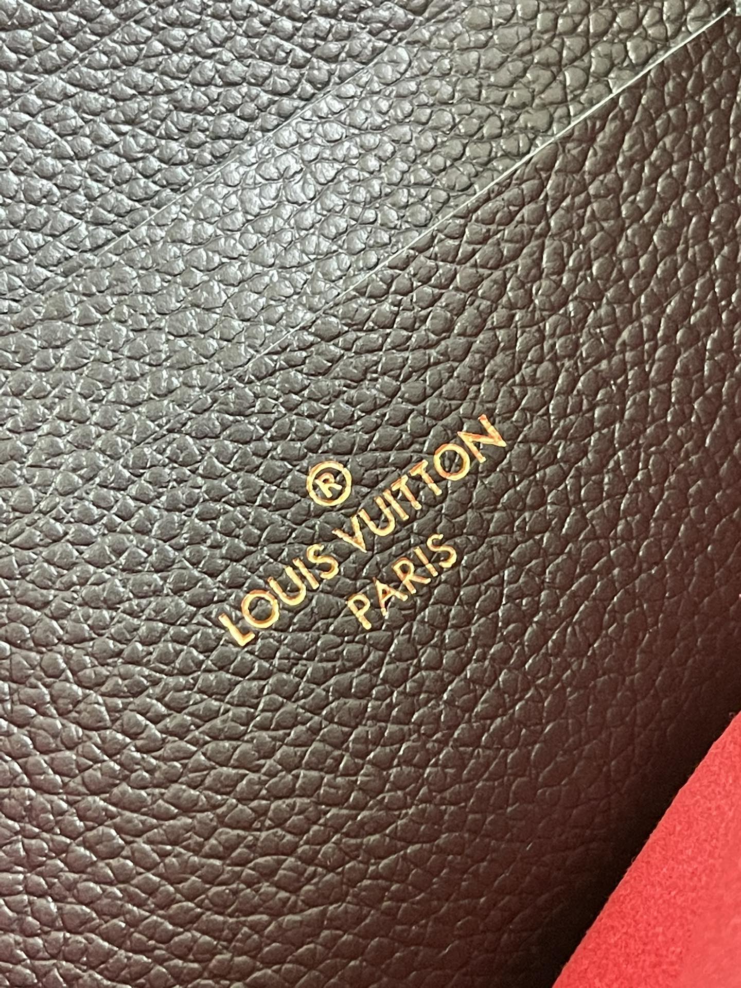 Louis Vuitton Double Zip Pochette Bag