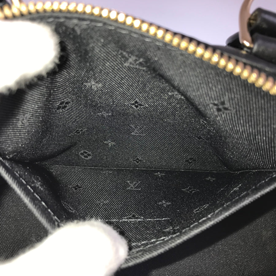 LOUIS VUITTON Bubble Gram Alma Soft BB 2WAYShoulder Handbag
