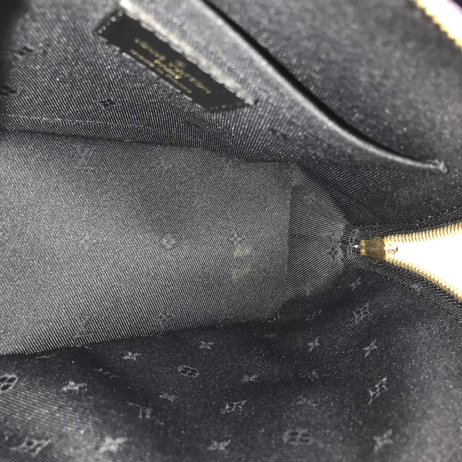 LOUIS VUITTON Bubble Gram Alma Soft BB 2WAYShoulder Handbag