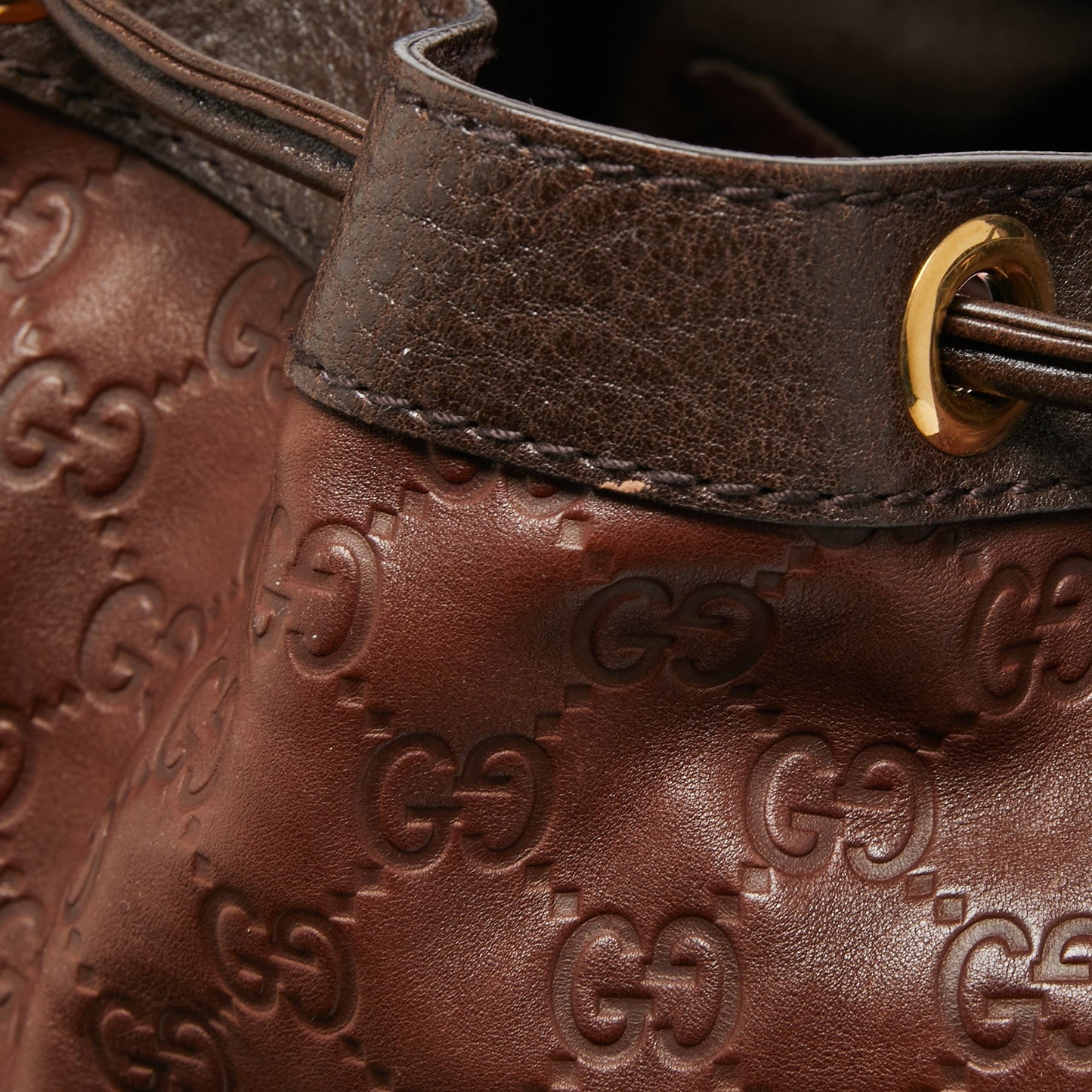 Gucci Brown Guccissima Leather Interlocking Icon Hobo