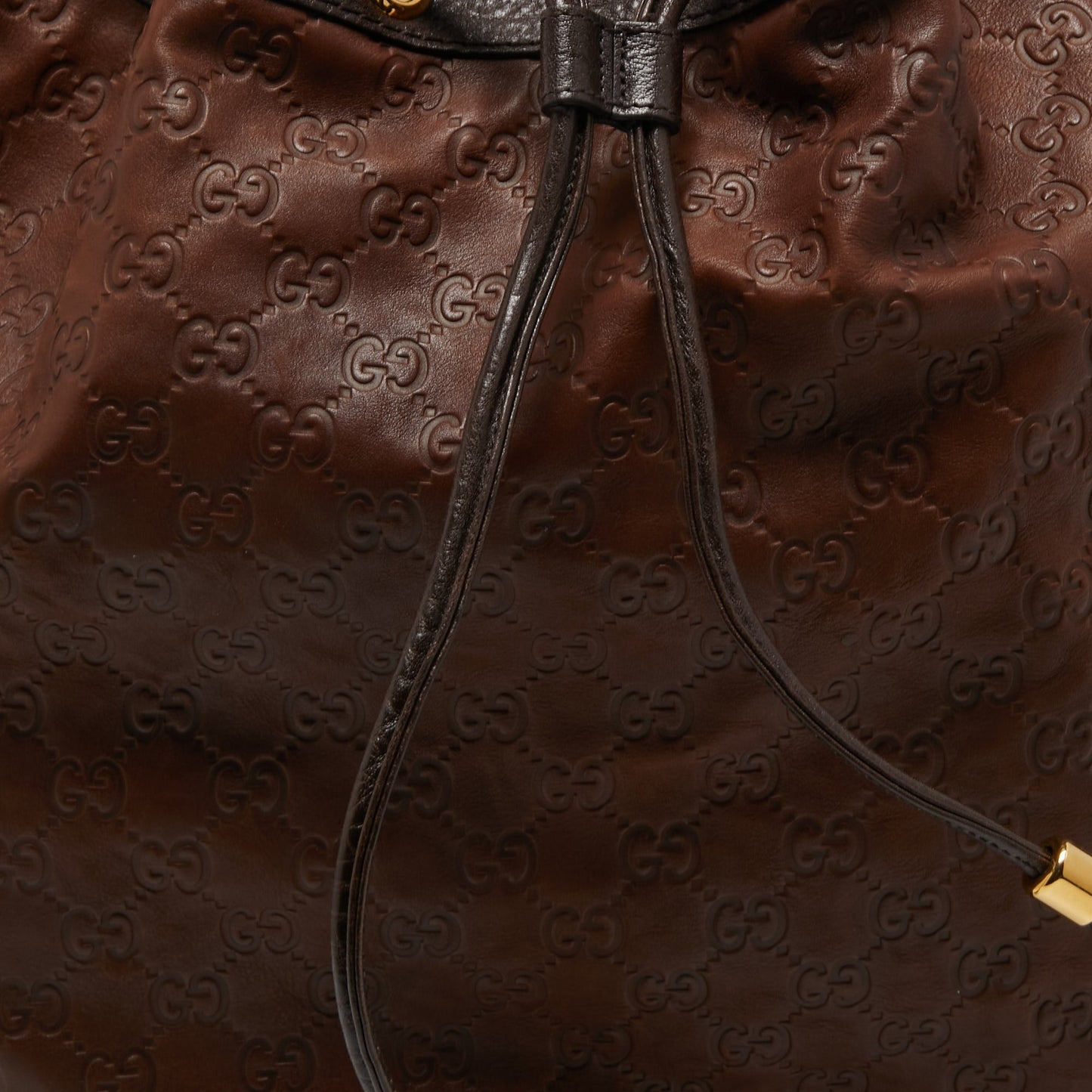 Gucci Brown Guccissima Leather Interlocking Icon Hobo