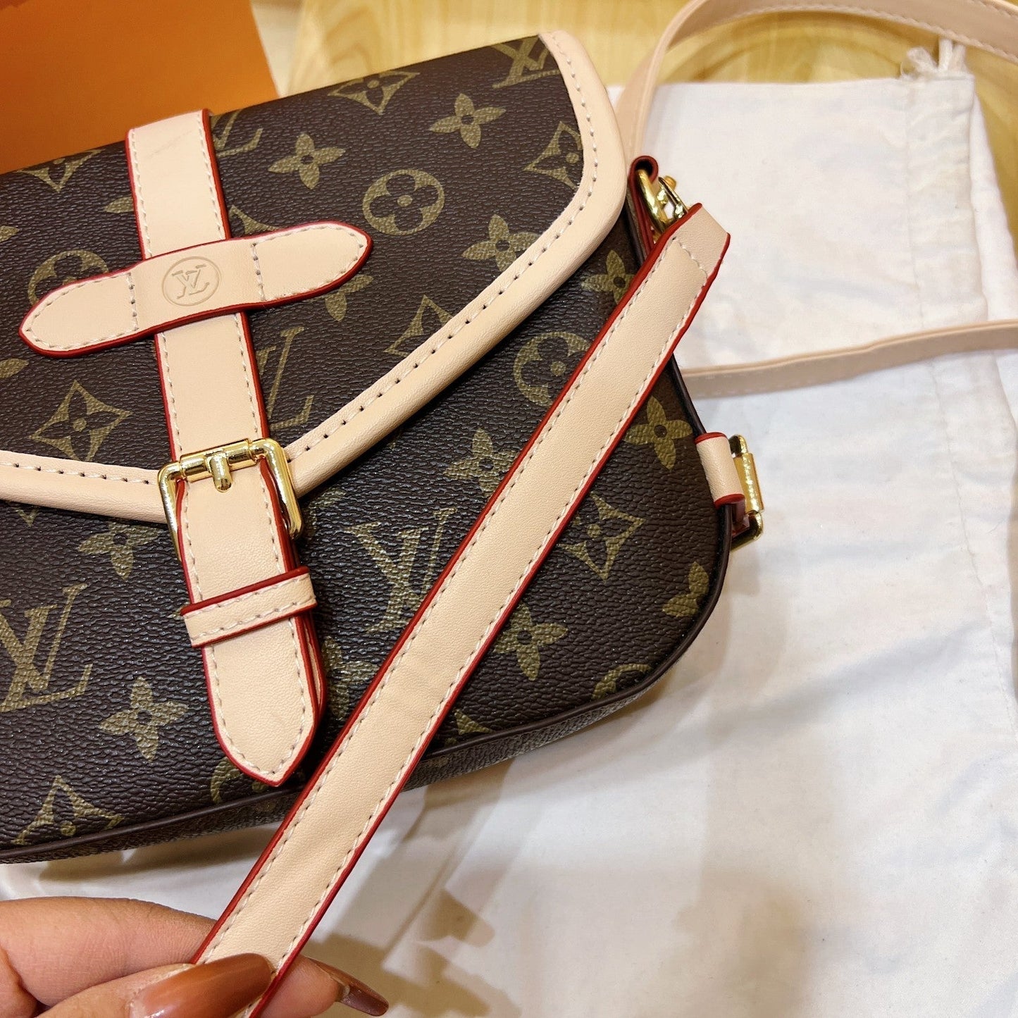 Louis vuitton handbag
