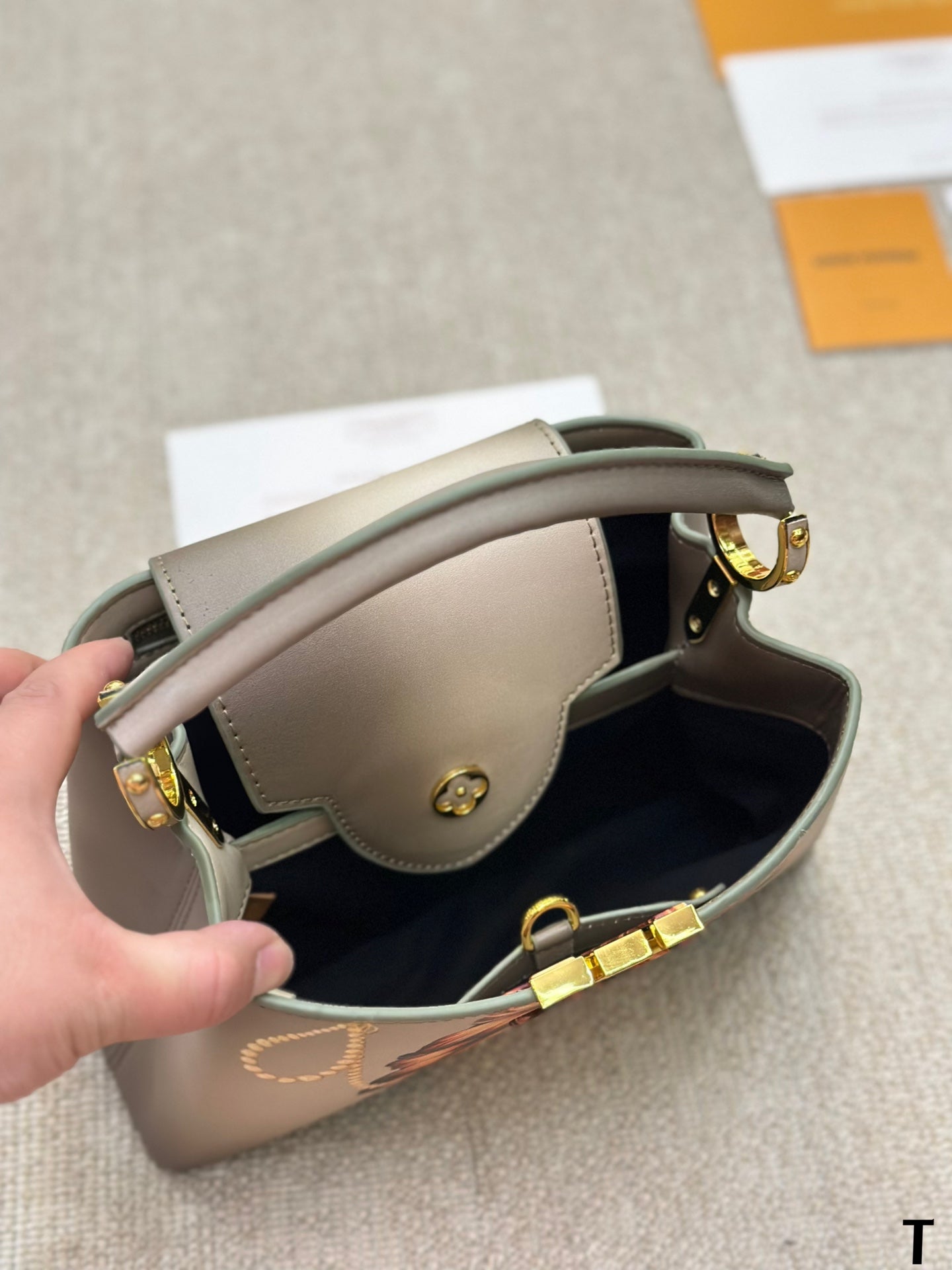 Louis Vuitton Capucines Handbag( 27cm snd 20cm)