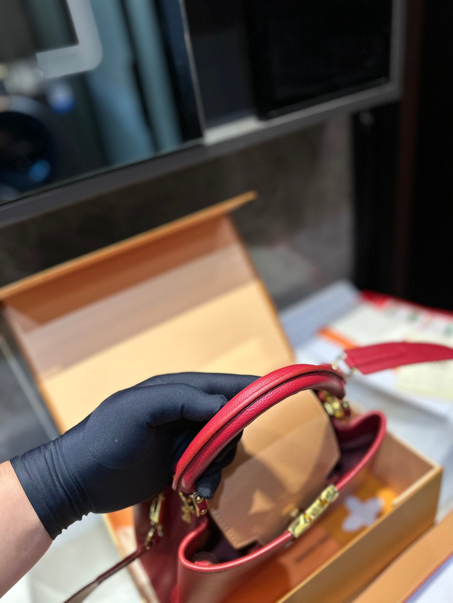Louis Vuitton Capucines Handbag( 27cm)