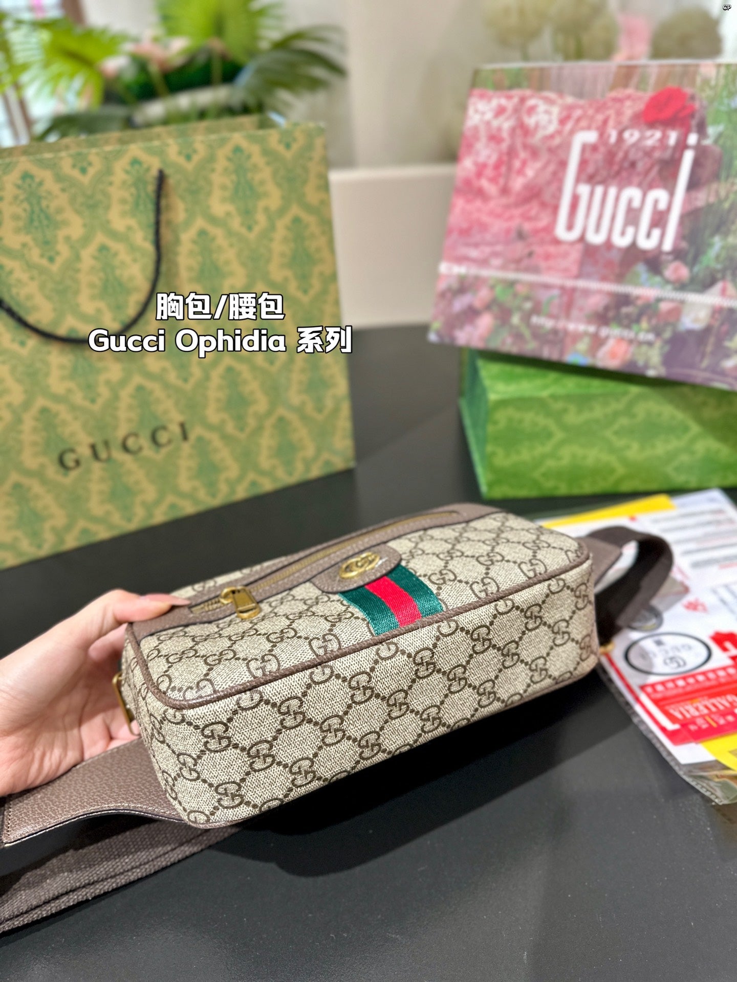 Gucci Handbag