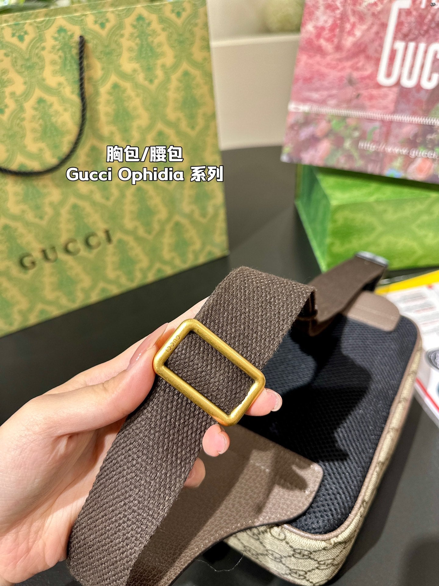 Gucci Handbag