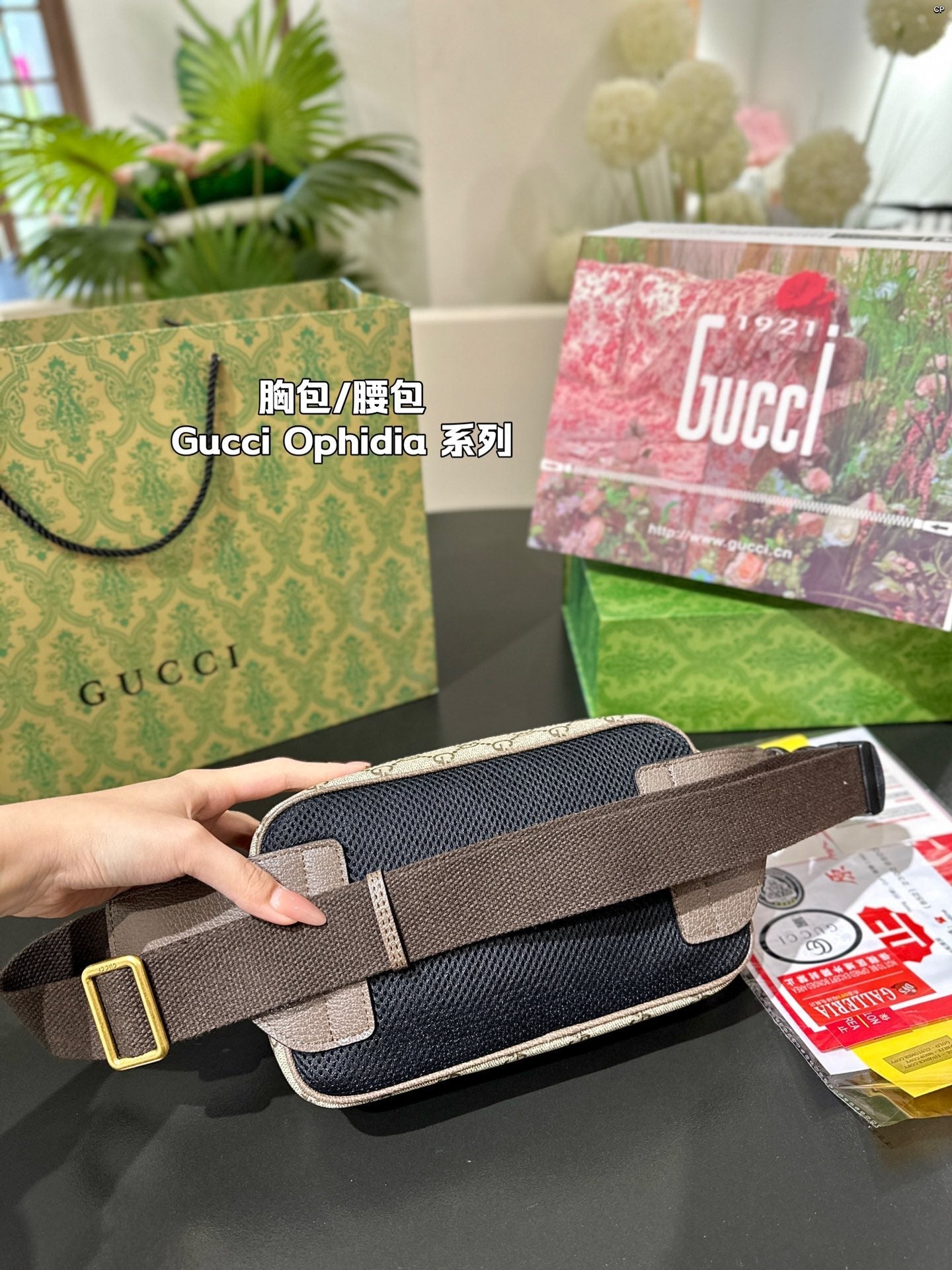 Gucci Handbag