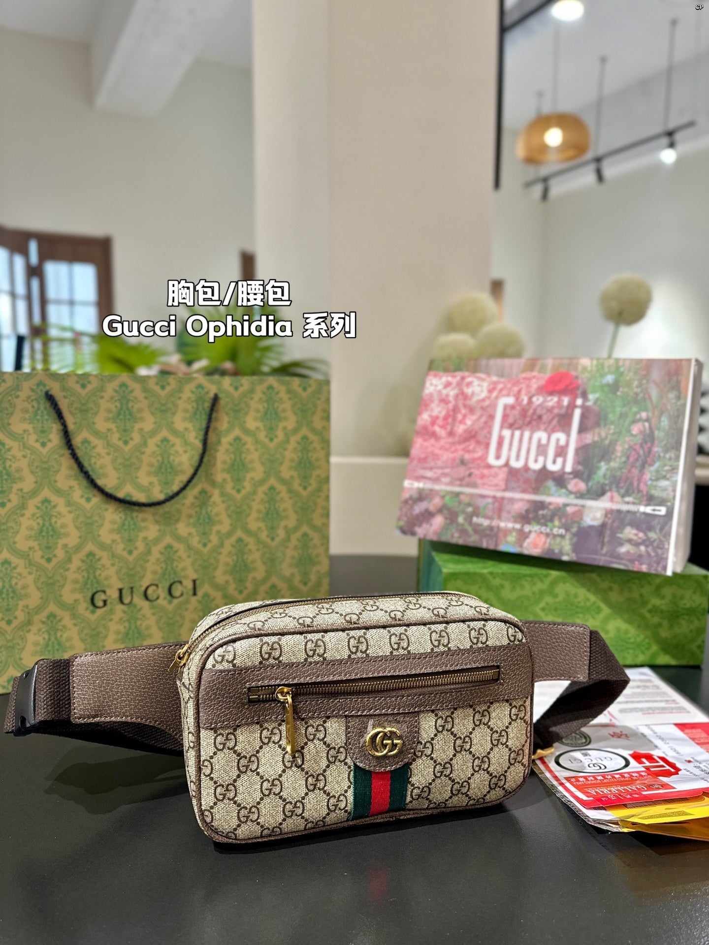 Gucci Handbag