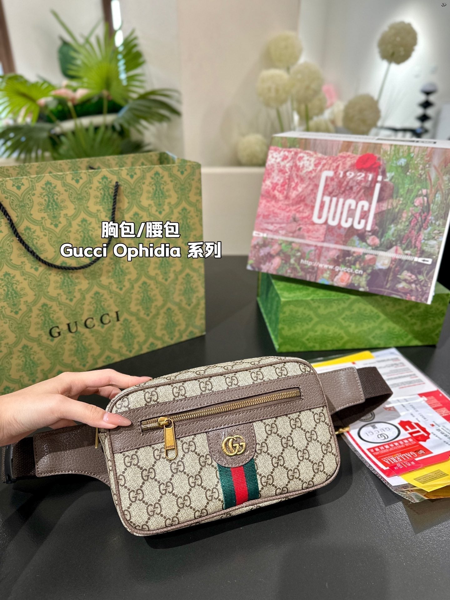 Gucci Handbag