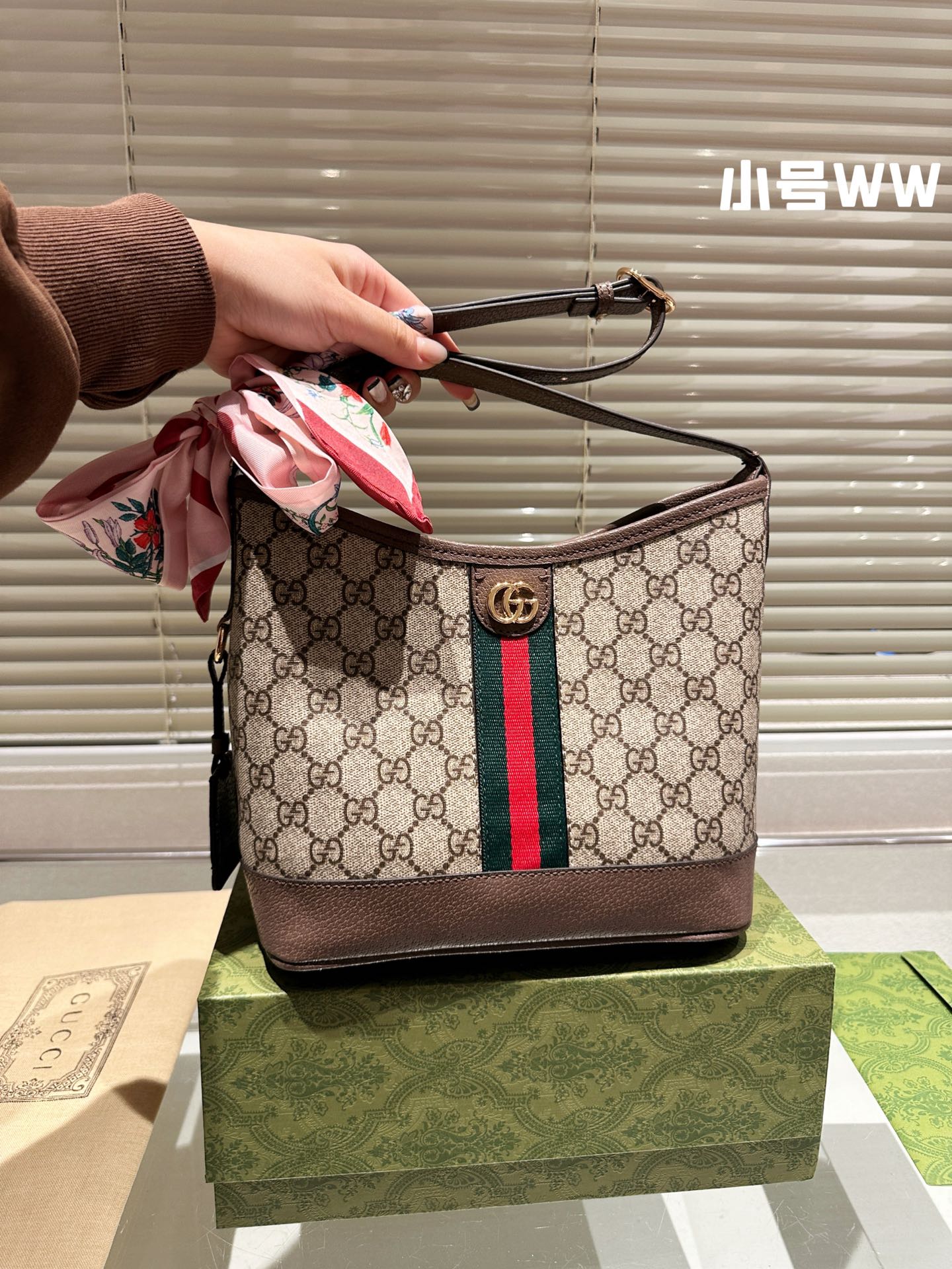 Gucci Handbag + Free Twilly scarf