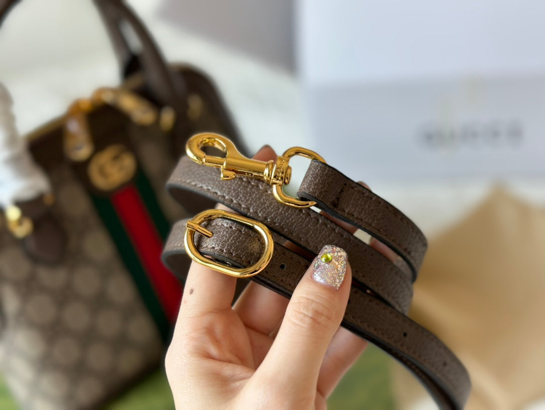 Gucci Handbag