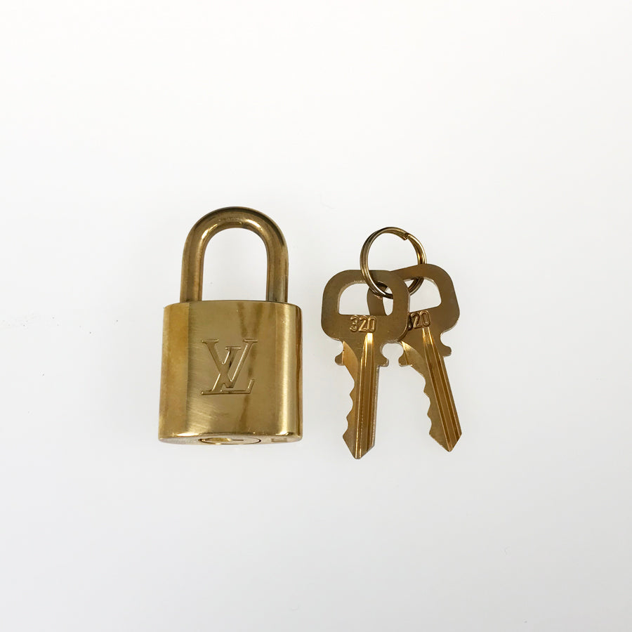LOUIS VUITTON Boston bag