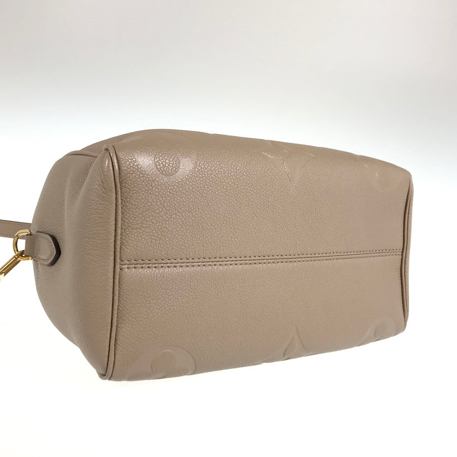LOUIS VUITTON 2WAY Shoulder Handbag