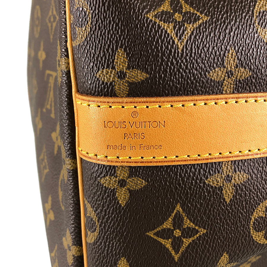LOUIS VUITTON Boston bag