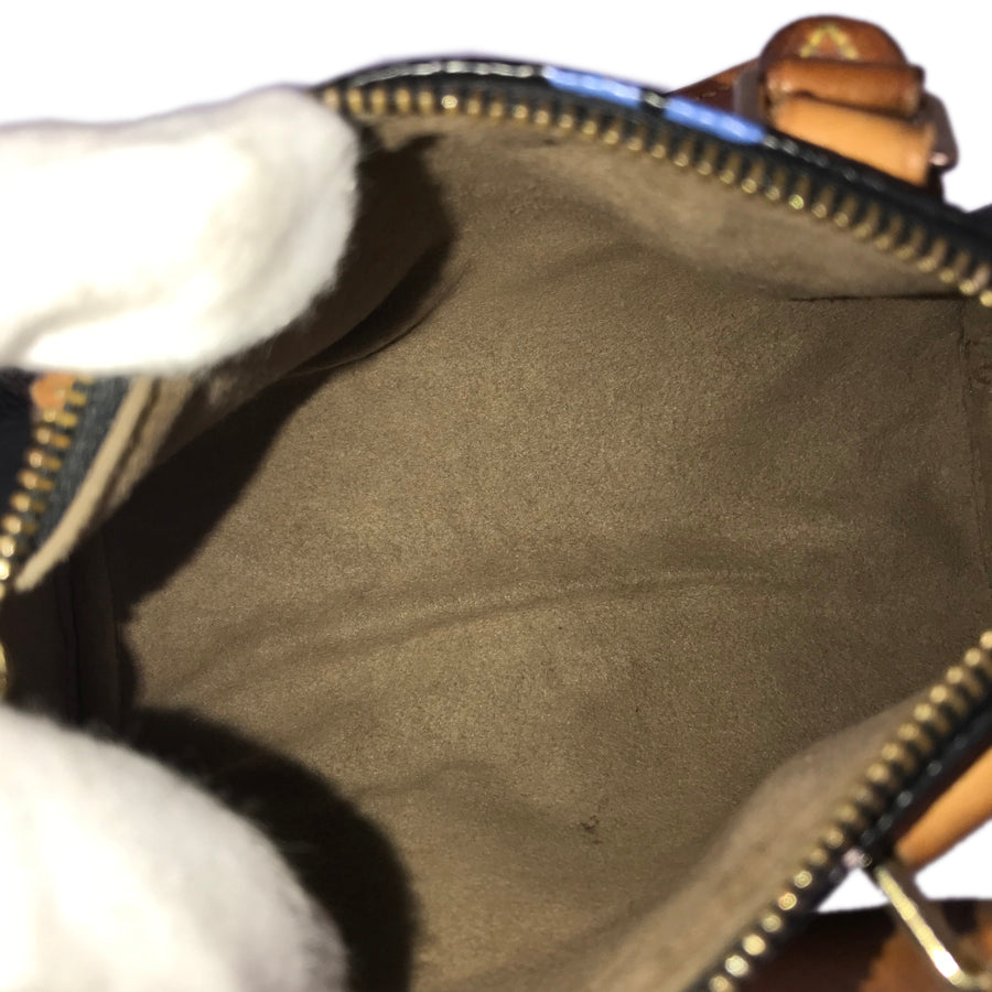 LOUIS VUITTON Handbag