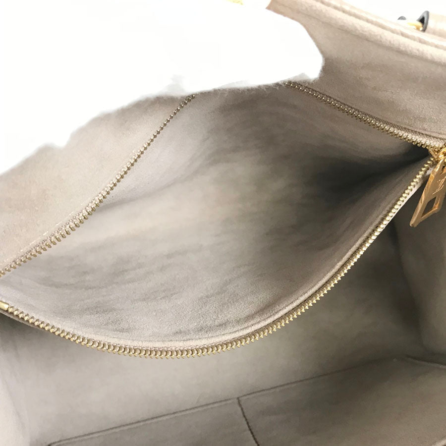 LOUIS VUITTON 2WAY Shoulder Handbag