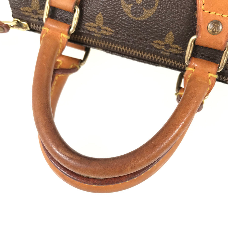 LOUIS VUITTON Handbag