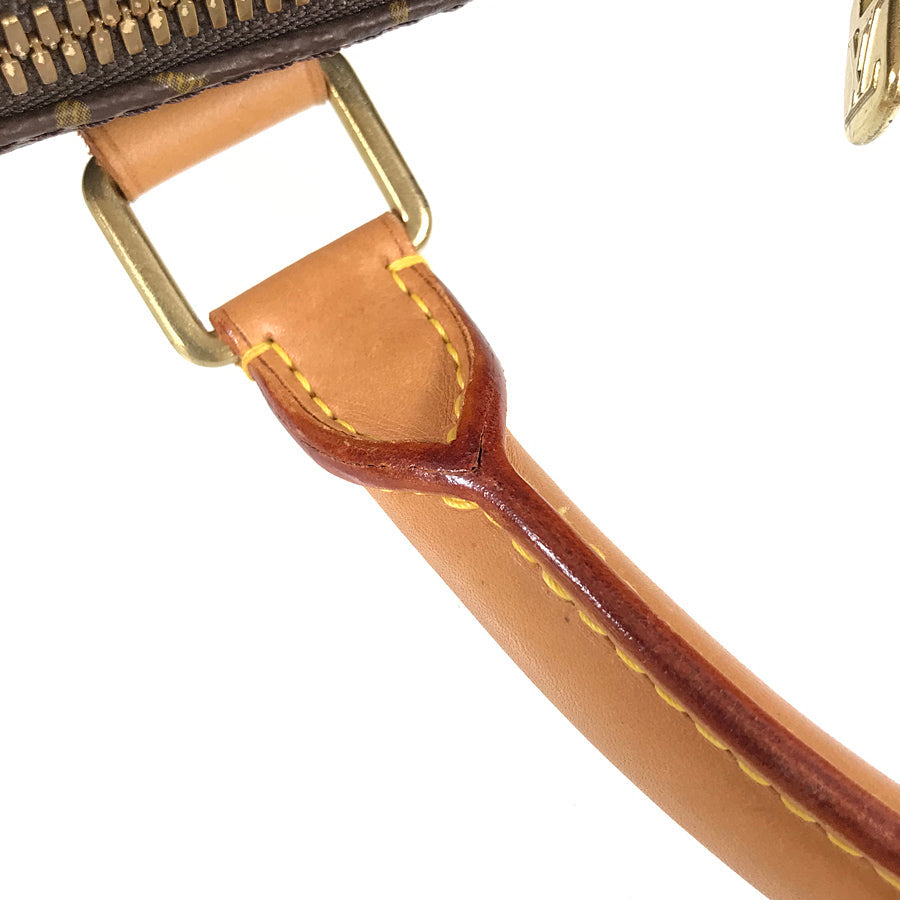 LOUIS VUITTON Boston bag