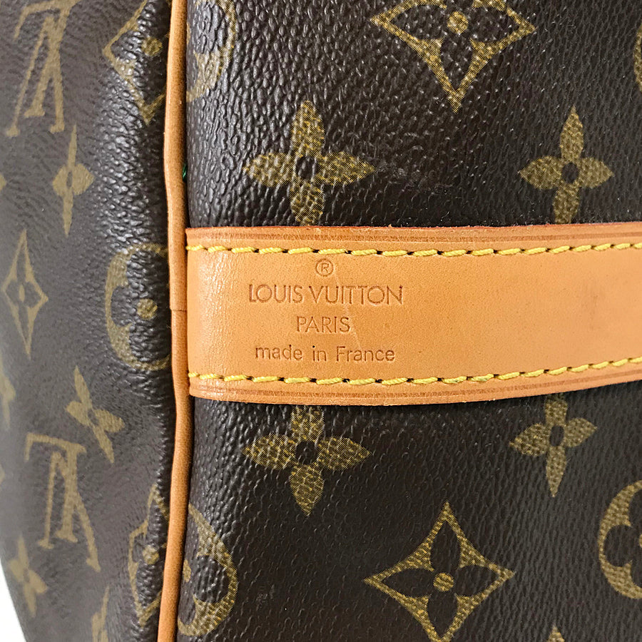LOUIS VUITTON Boston bag