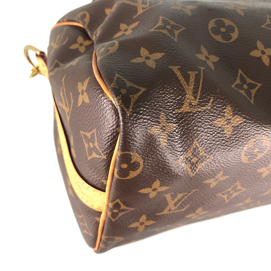 LOUIS VUITTON 2WAY Shoulder Handbag