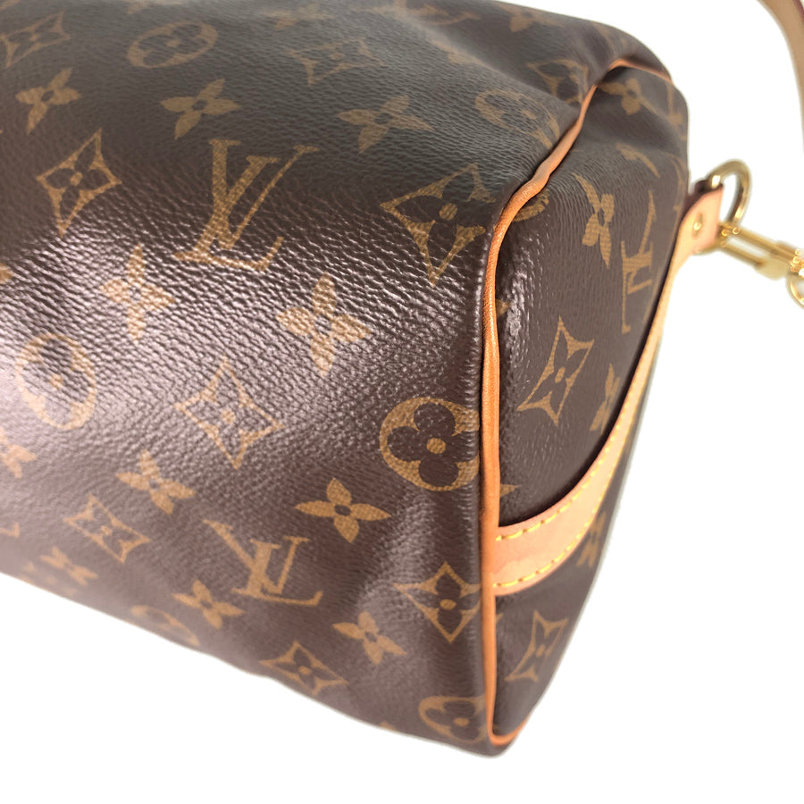 LOUIS VUITTON 2WAY Shoulder Handbag