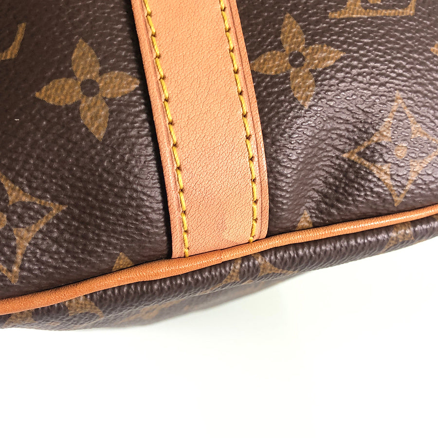 LOUIS VUITTON 2WAY Shoulder Handbag