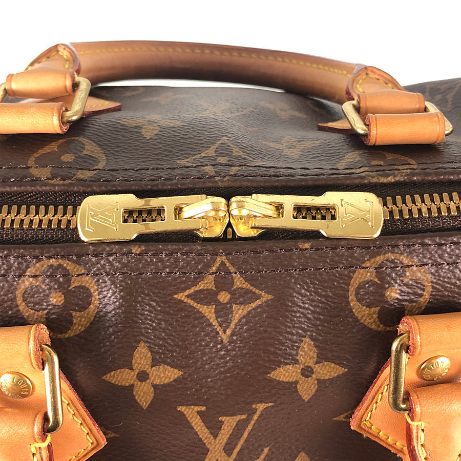 LOUIS VUITTON 2WAY Shoulder Handbag