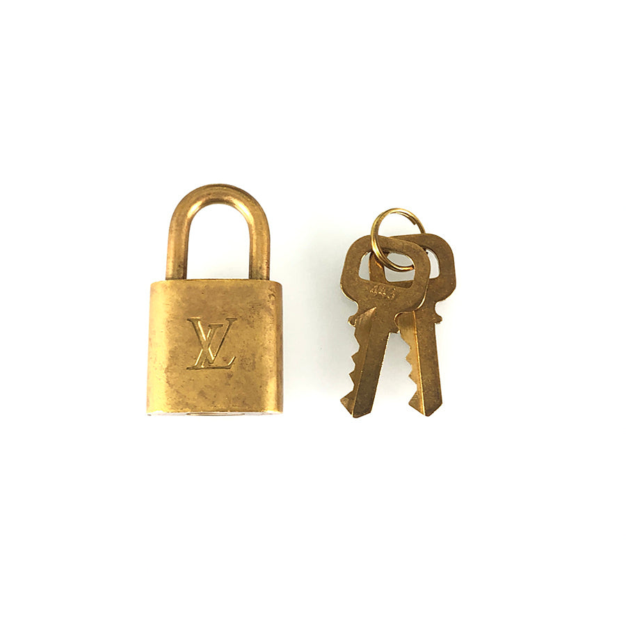 LOUIS VUITTON 2WAY Shoulder Handbag