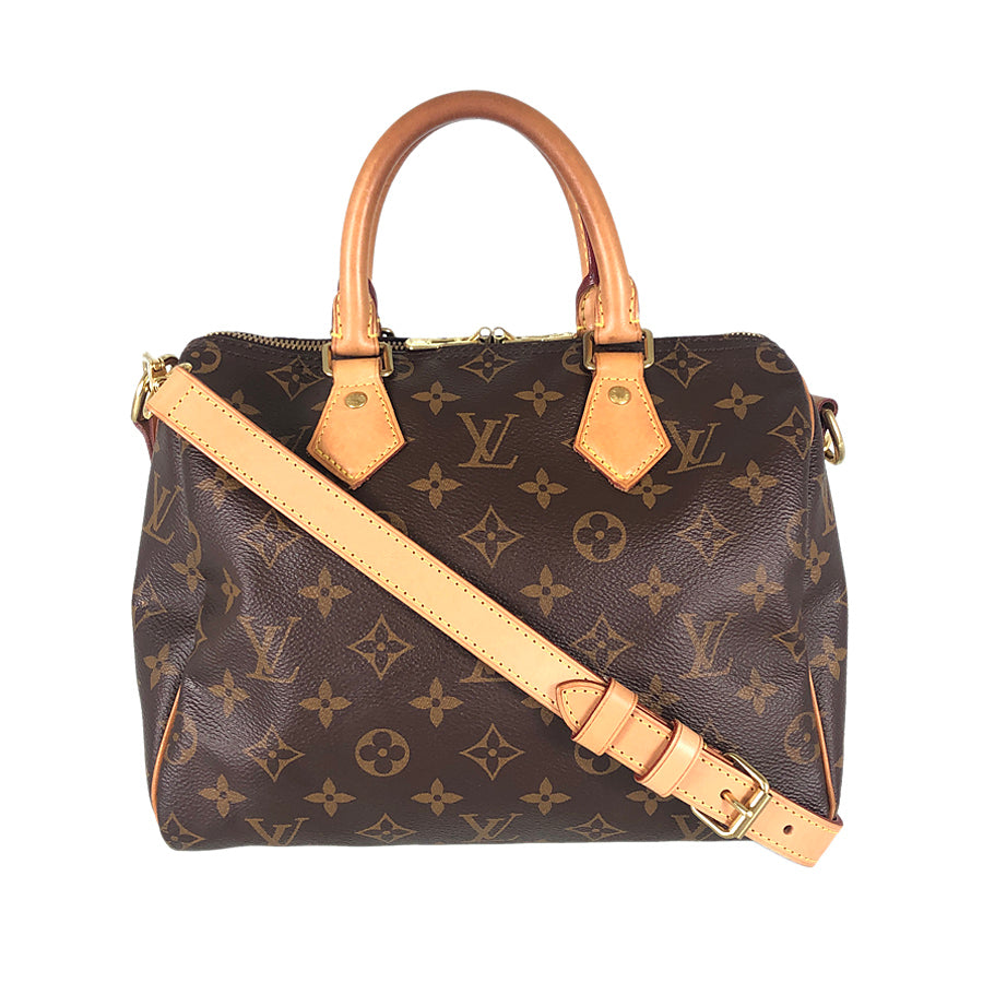 LOUIS VUITTON 2WAY Shoulder Handbag