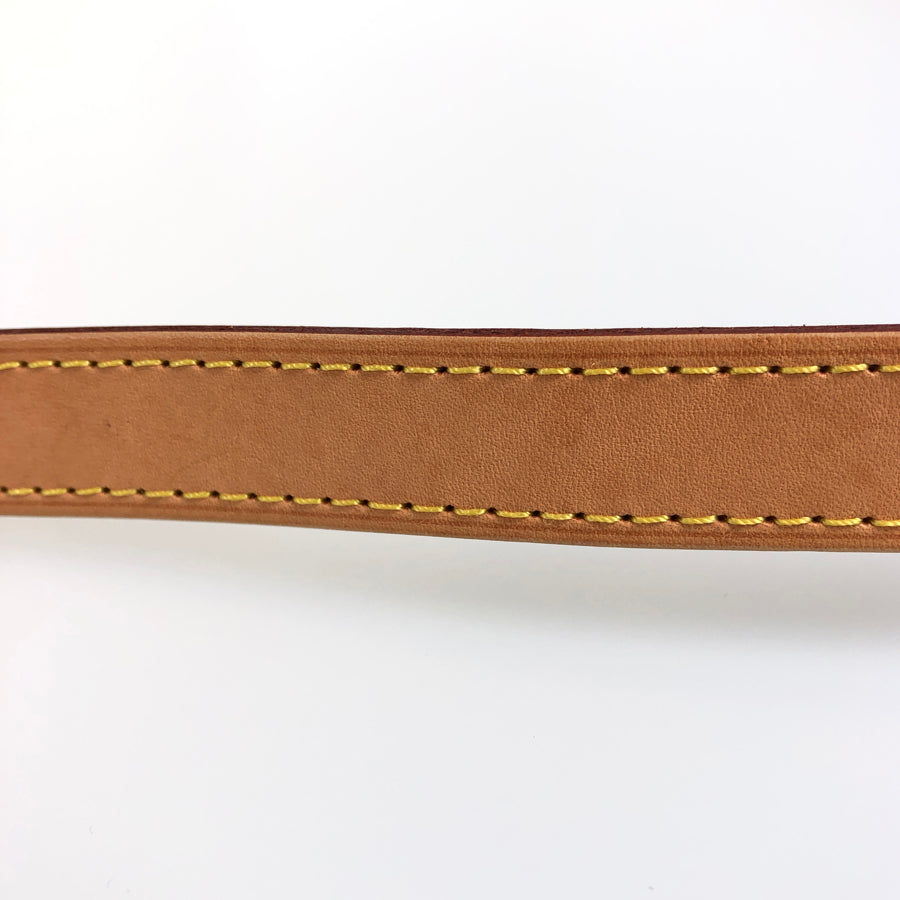 LOUIS VUITTON 2WAY Shoulder Handbag