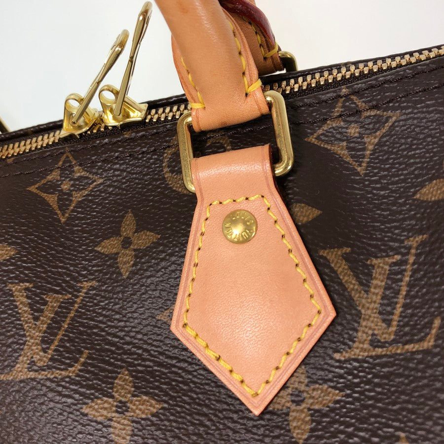 LOUIS VUITTON 2WAY Shoulder Handbag