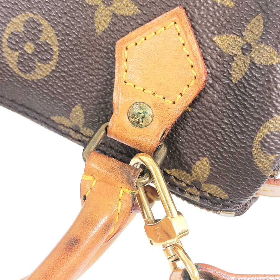 LOUIS VUITTON 2WAY Shoulder Handbag