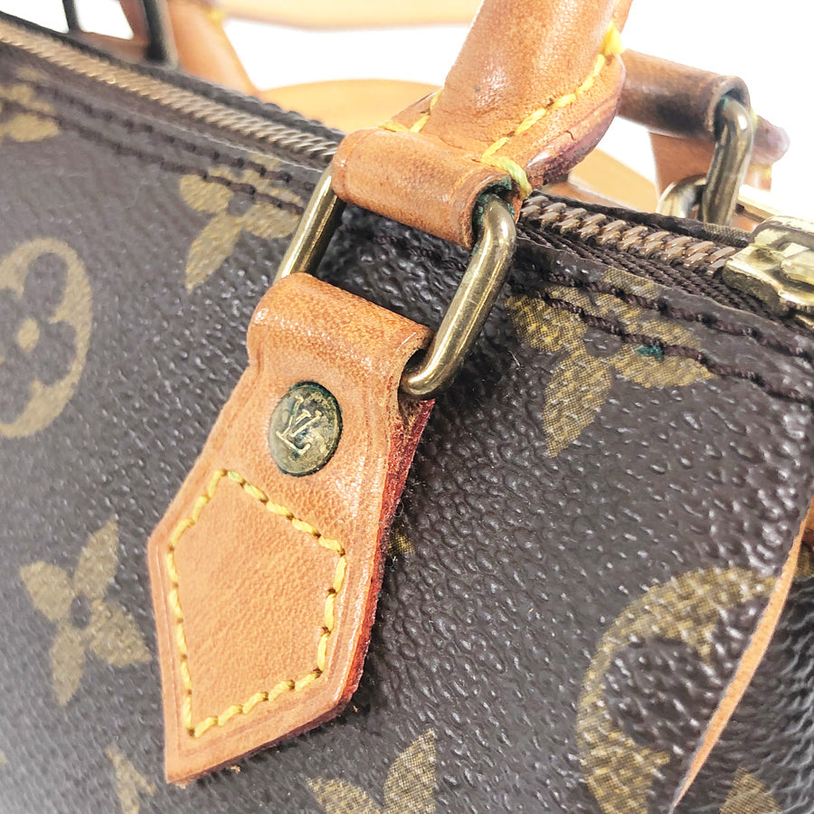 LOUIS VUITTON 2WAY Shoulder Handbag